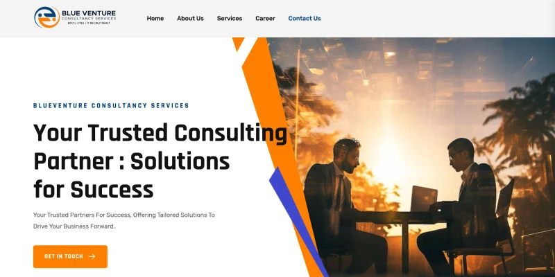 BlueVenture-Consultancy